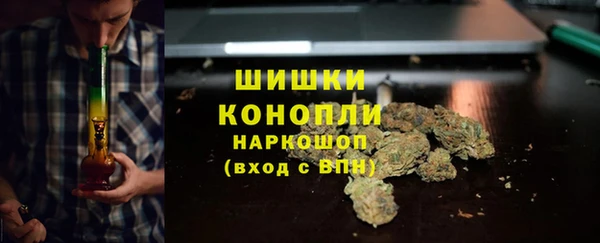 эйфоретик Белокуриха