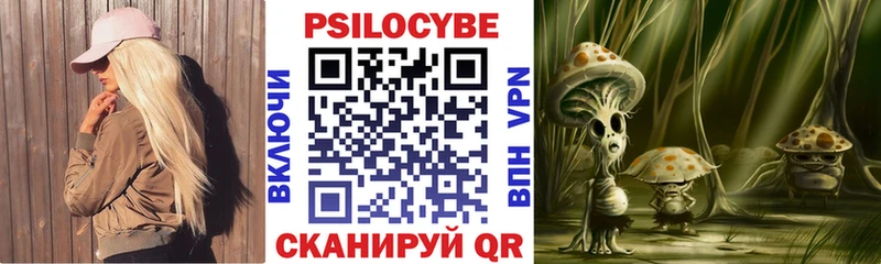 купить  сайты  Черняховск  Галлюциногенные грибы ЛСД 